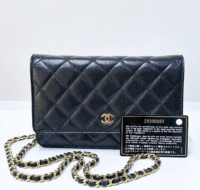 Chanel Medium Tote Bag for Office LadiesChanel Medium Tote Bag for Office LadiesChanel Classic Wallet on Chain Caviar Black GHW 29 Holo